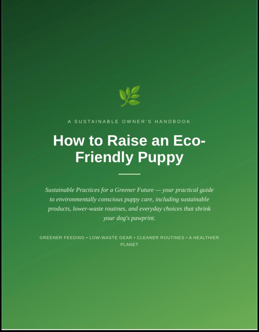 How To Raise an Eco-Friendly Puppy