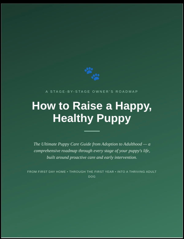 How to Raise a Happy, Healthy Puppy