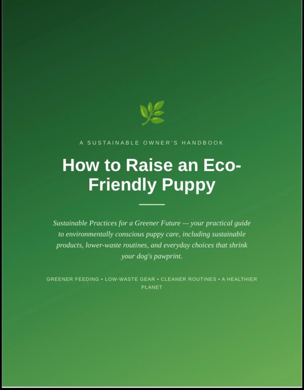 How To Raise an Eco-Friendly Puppy